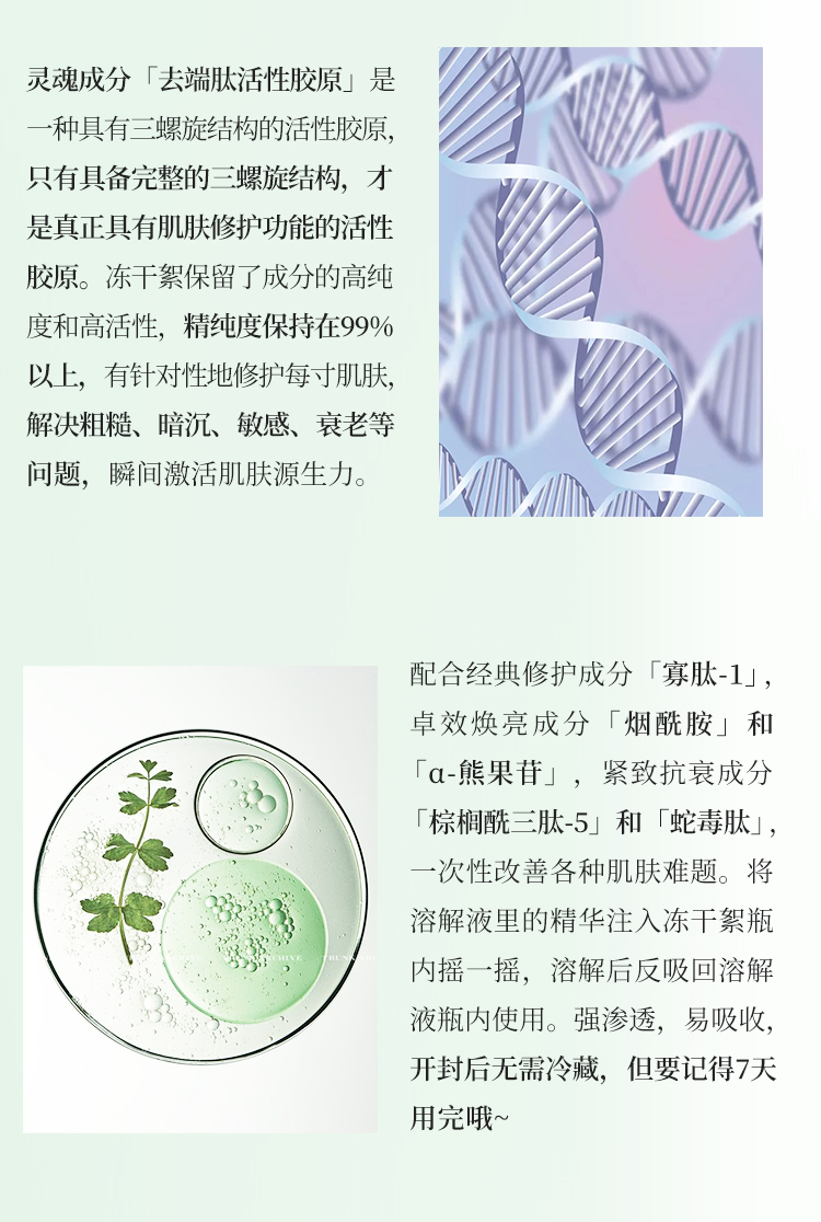 冻干絮详情页2_04.jpg